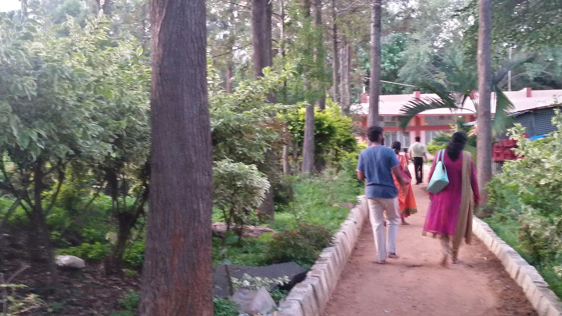 इरेक्शन और रक्त-संचार: सरल व्याख्या